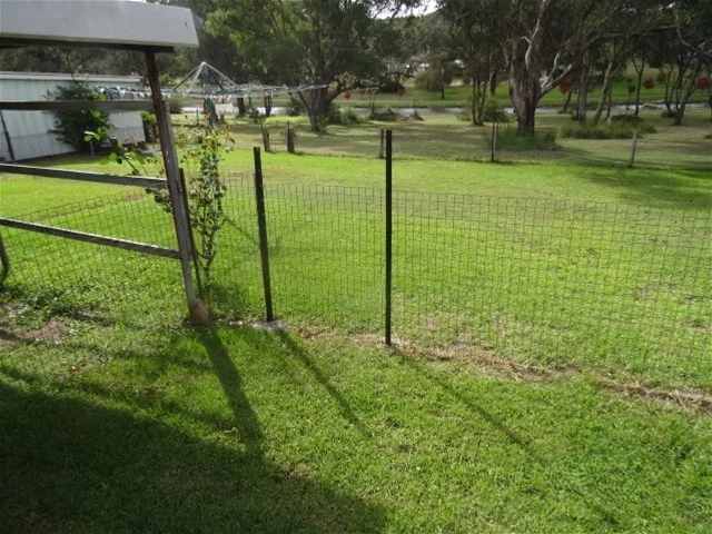 Image 14