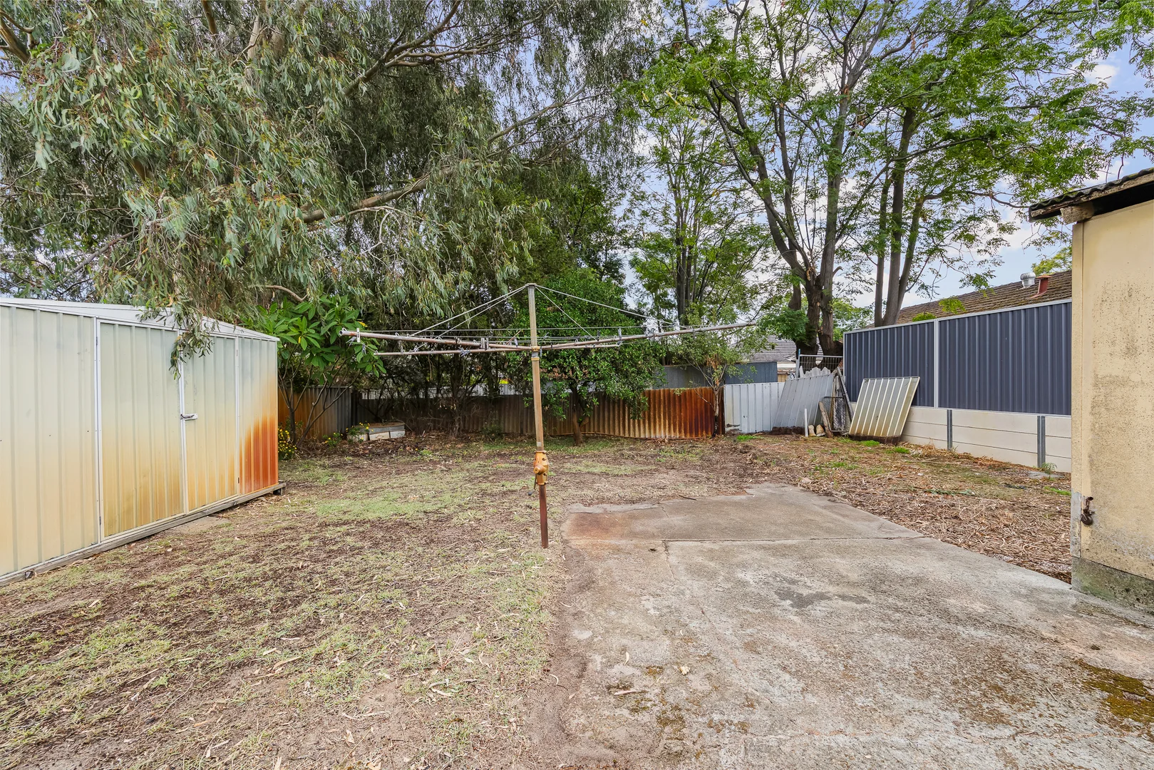 Image 20