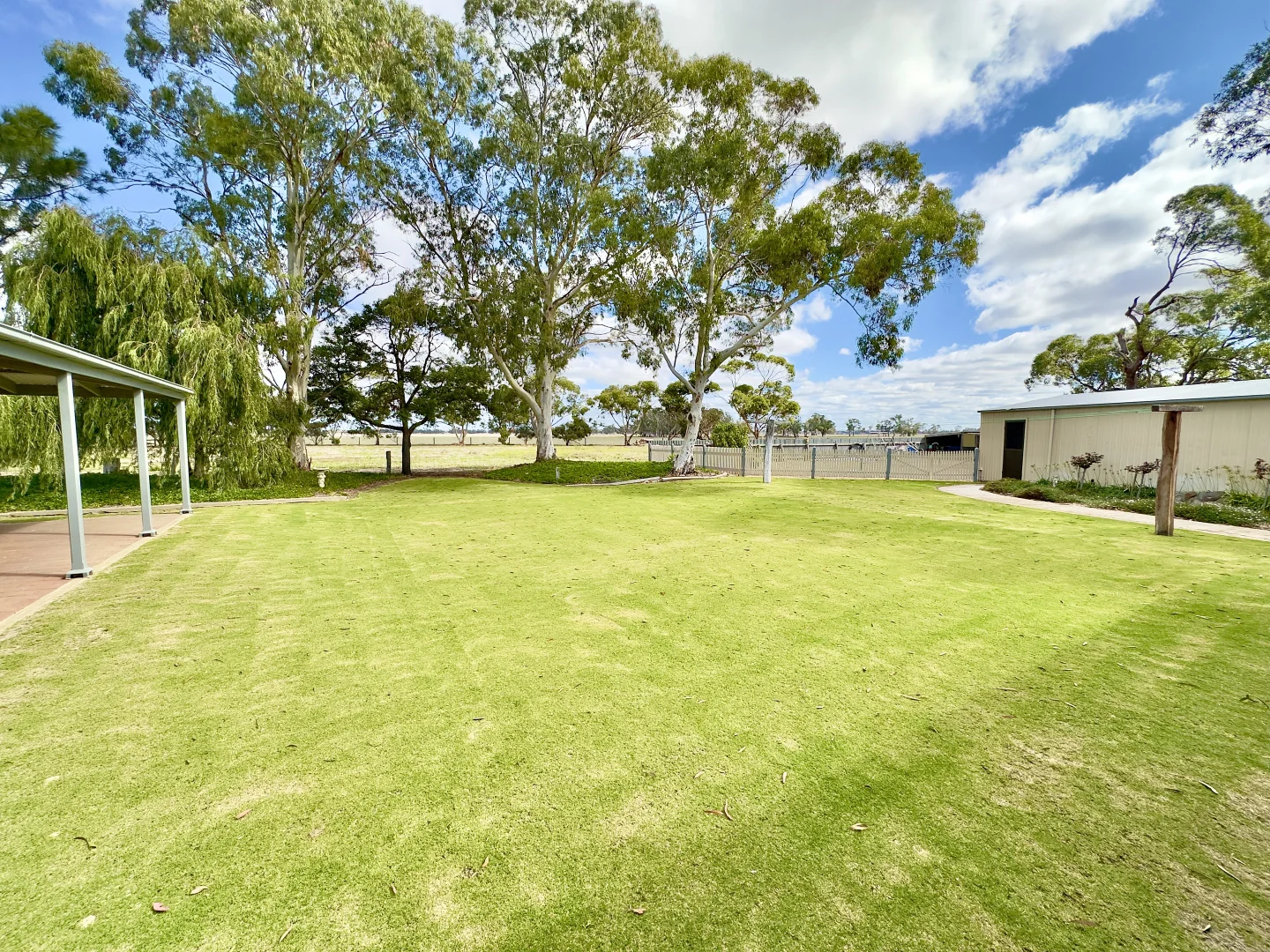 Image 30