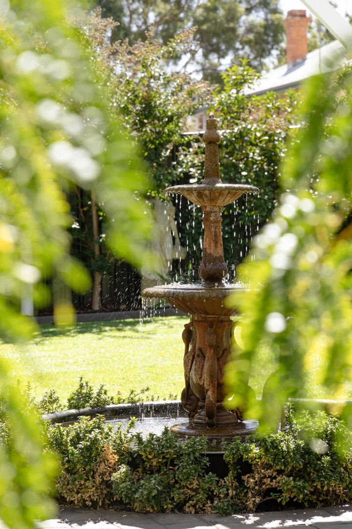 Image 29