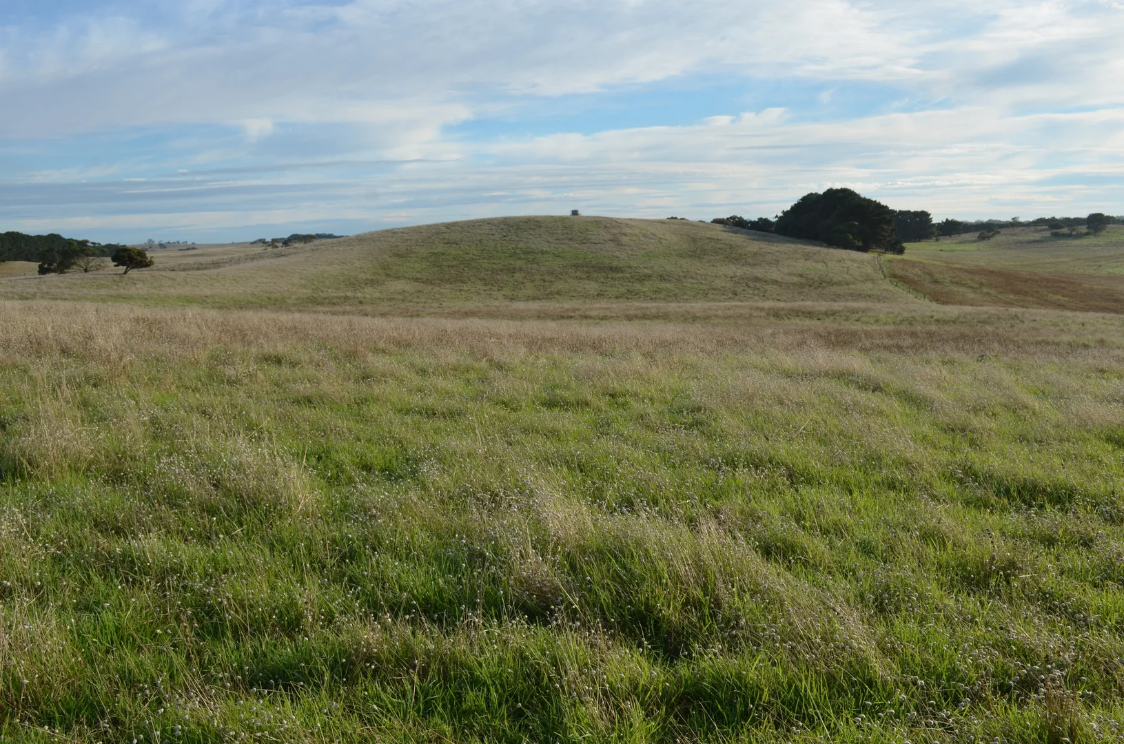 Image 13