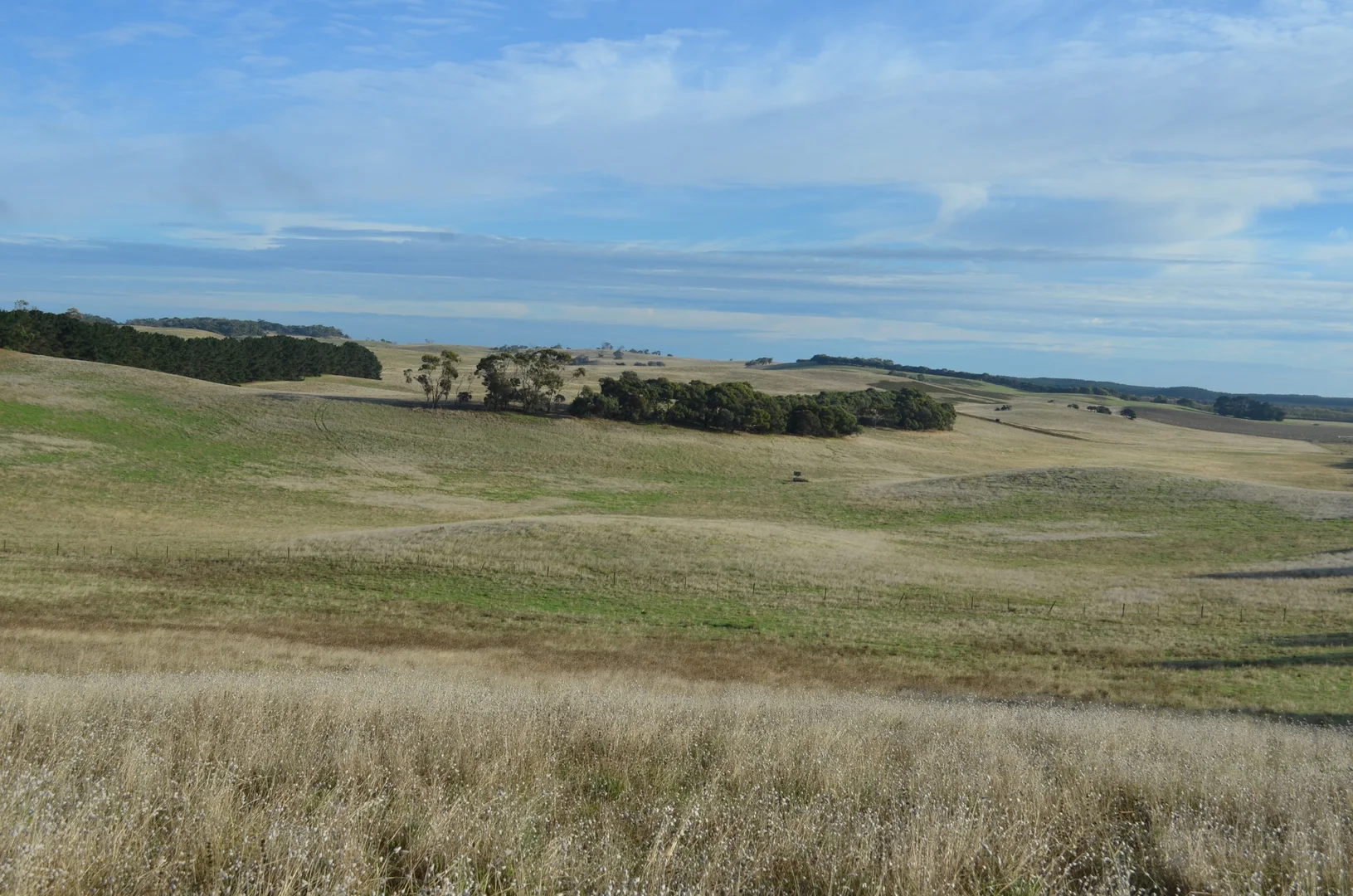 Image 14