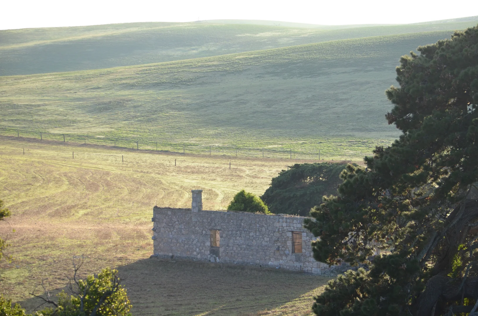 Image 28
