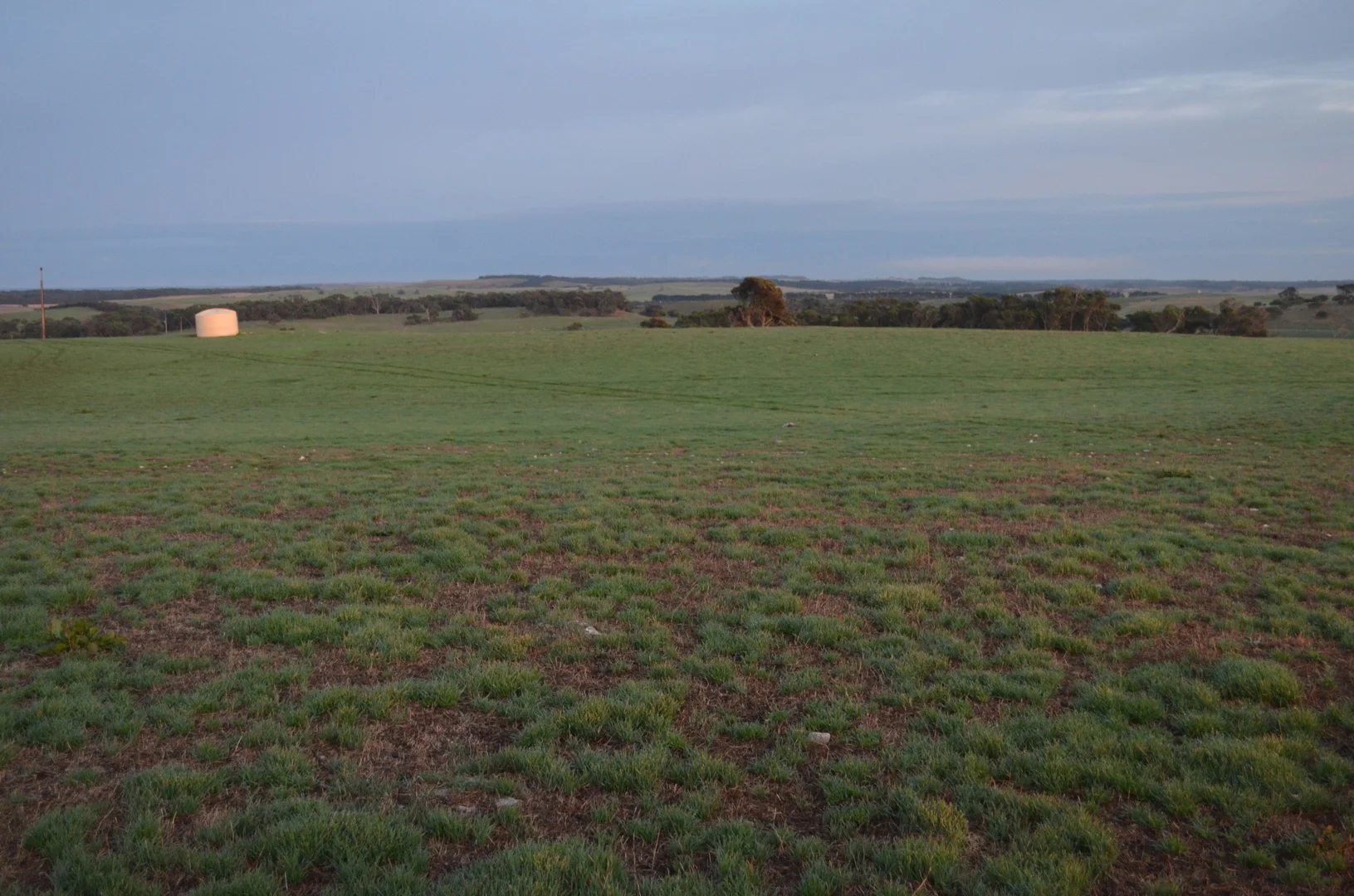 Image 29