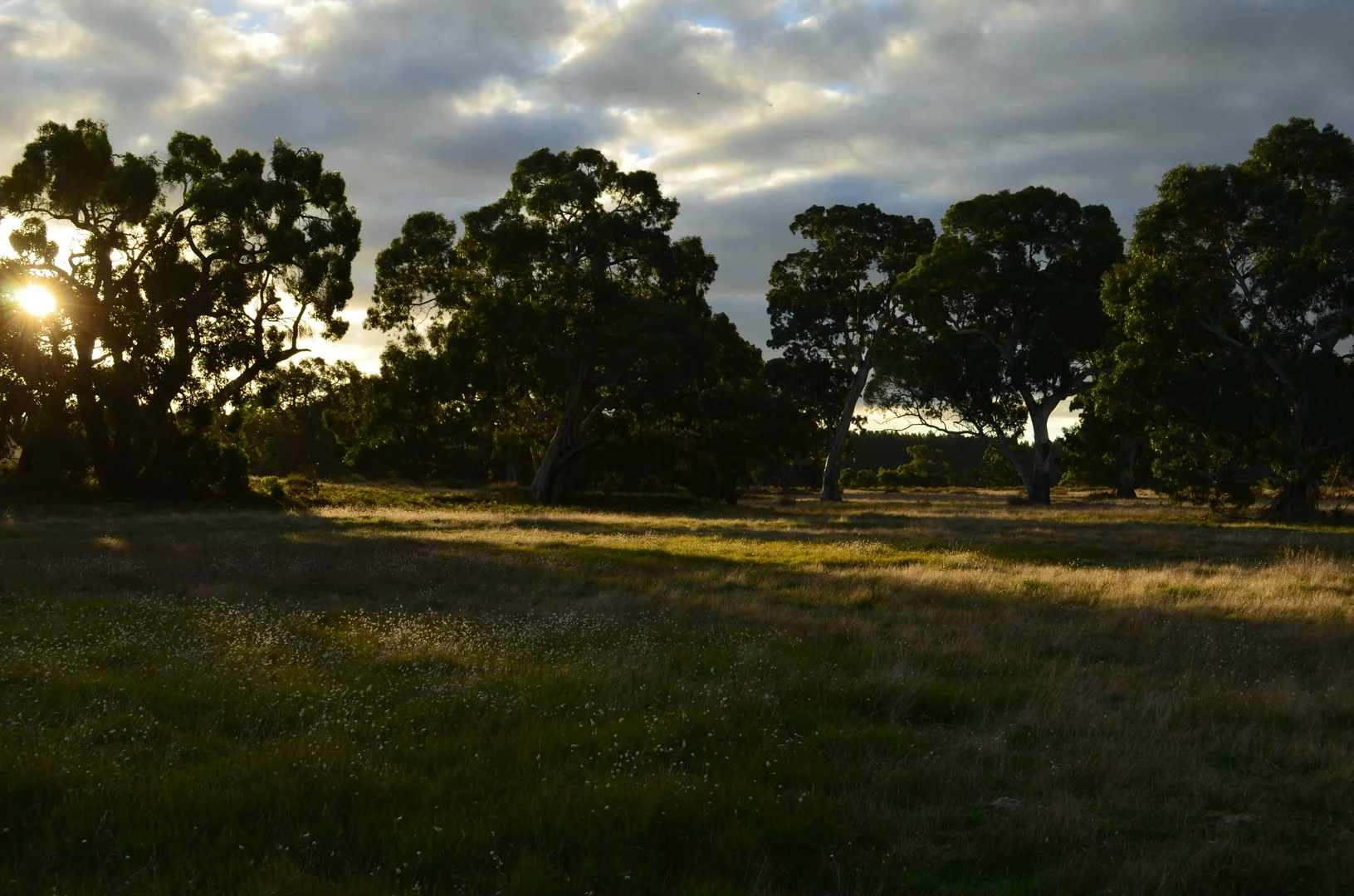 Image 45