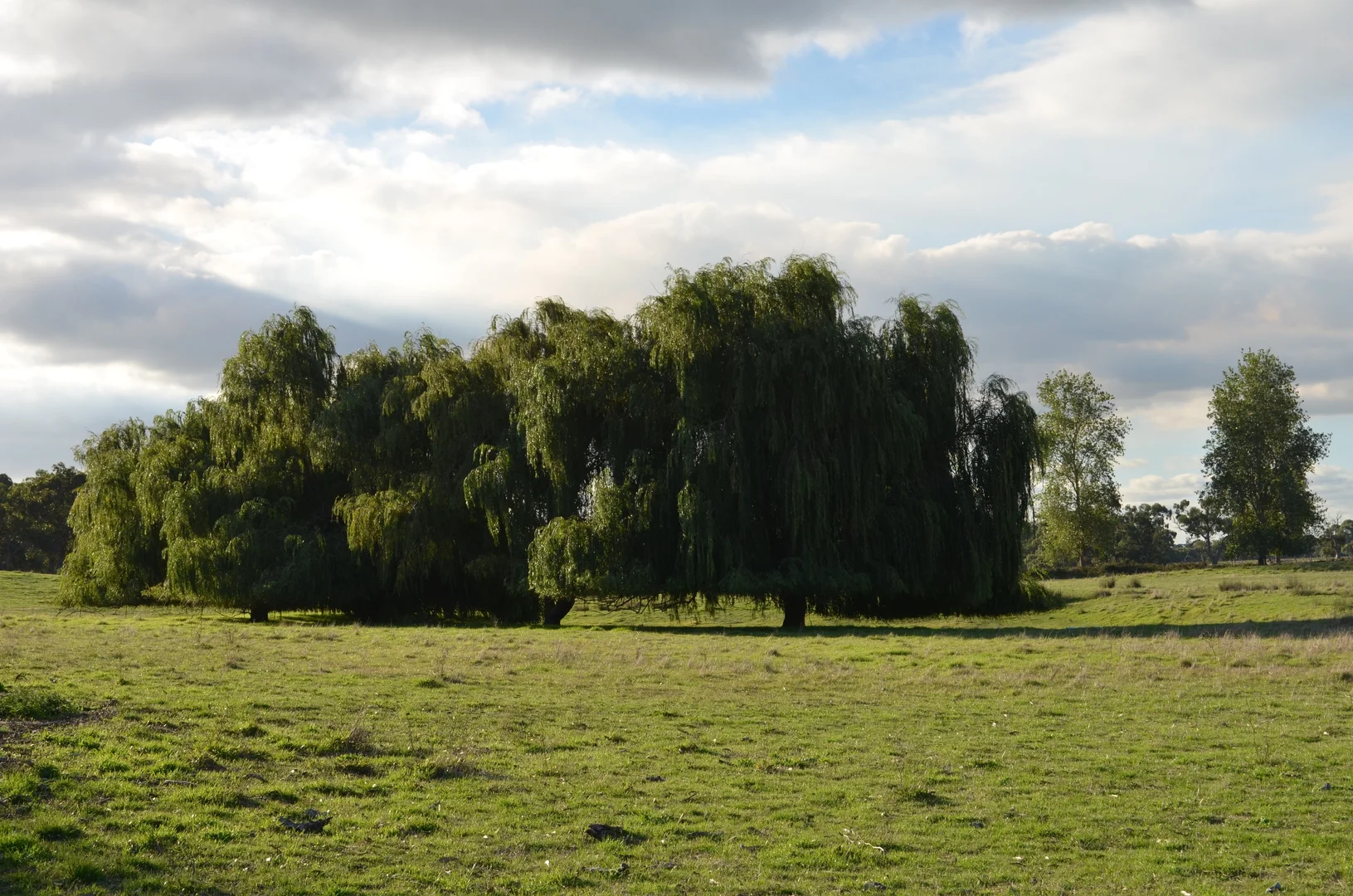 Image 46