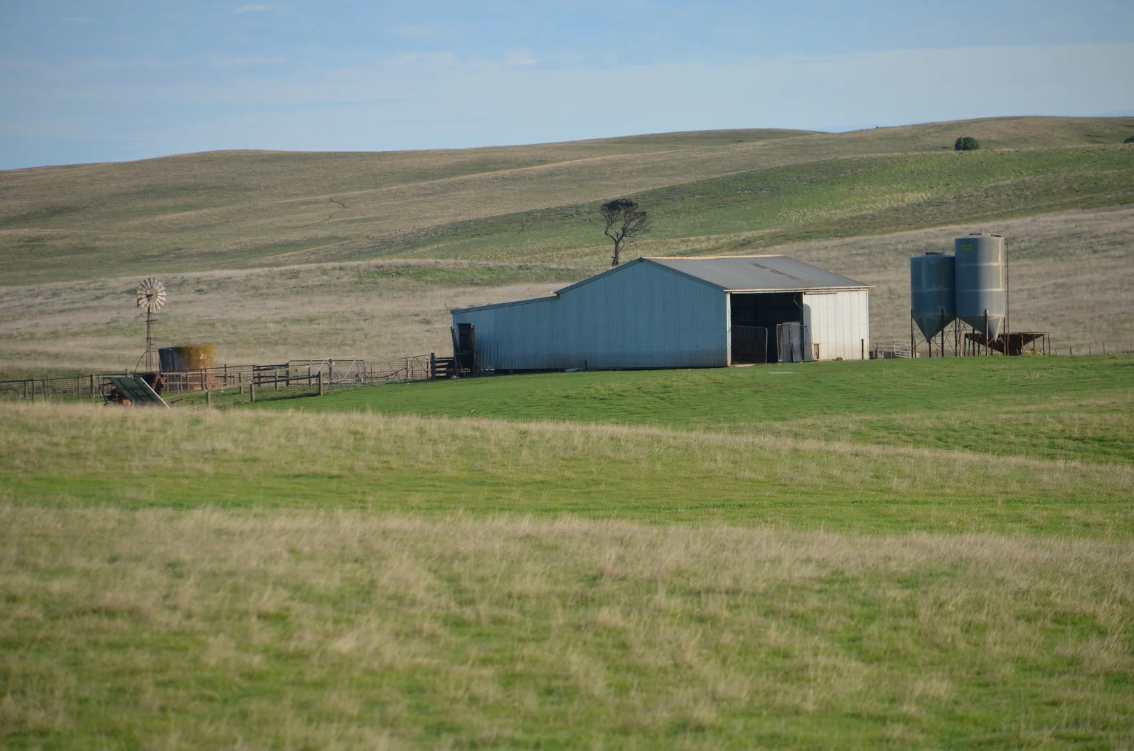 Image 6