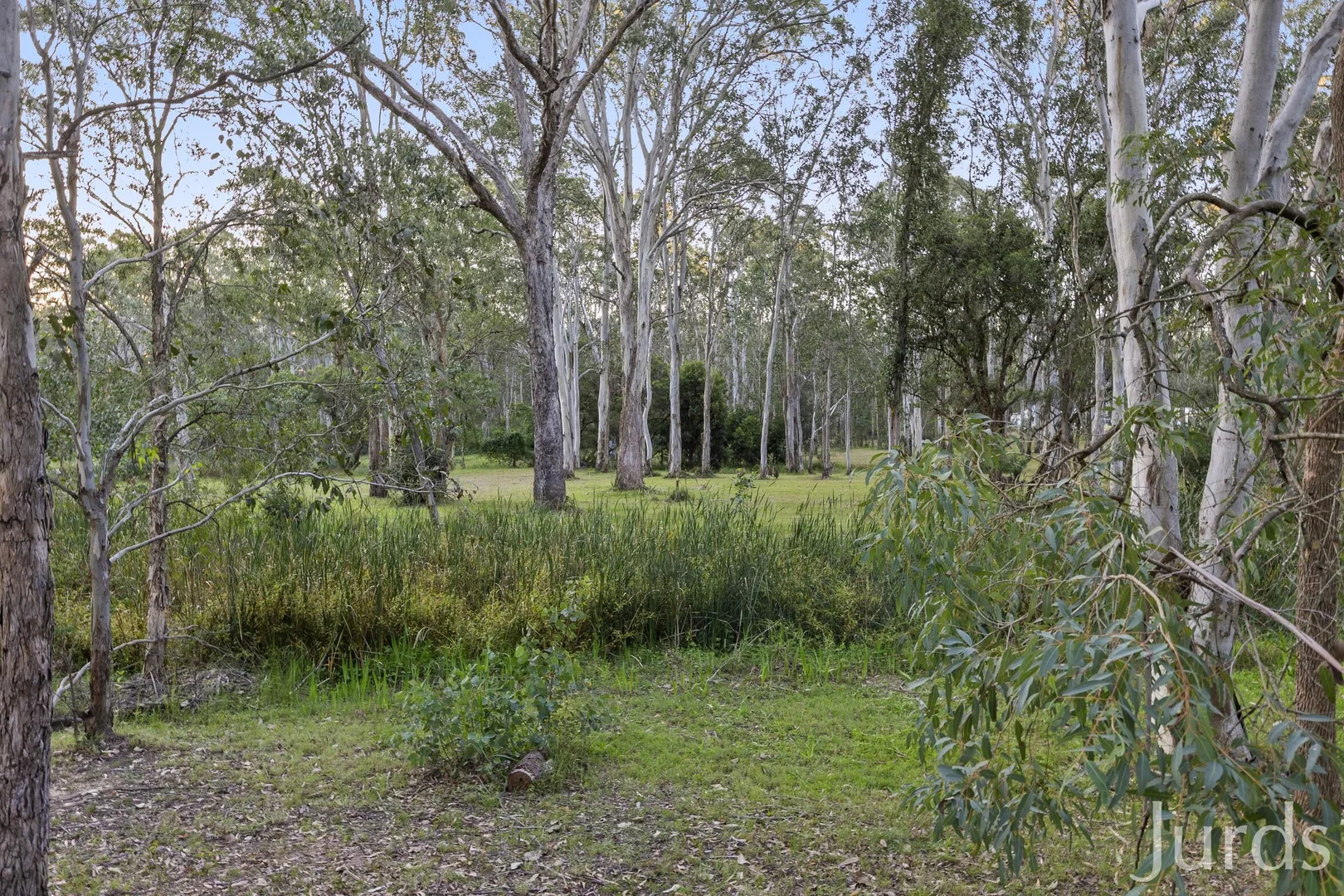 Image 30