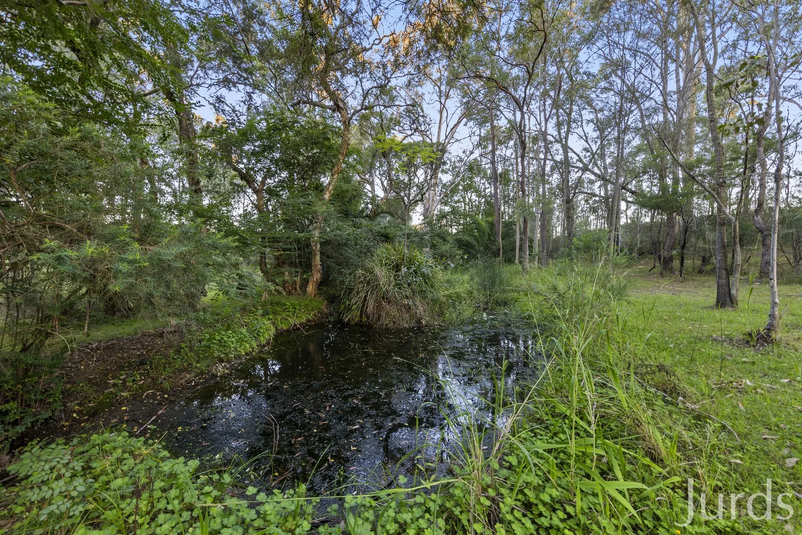 Image 31