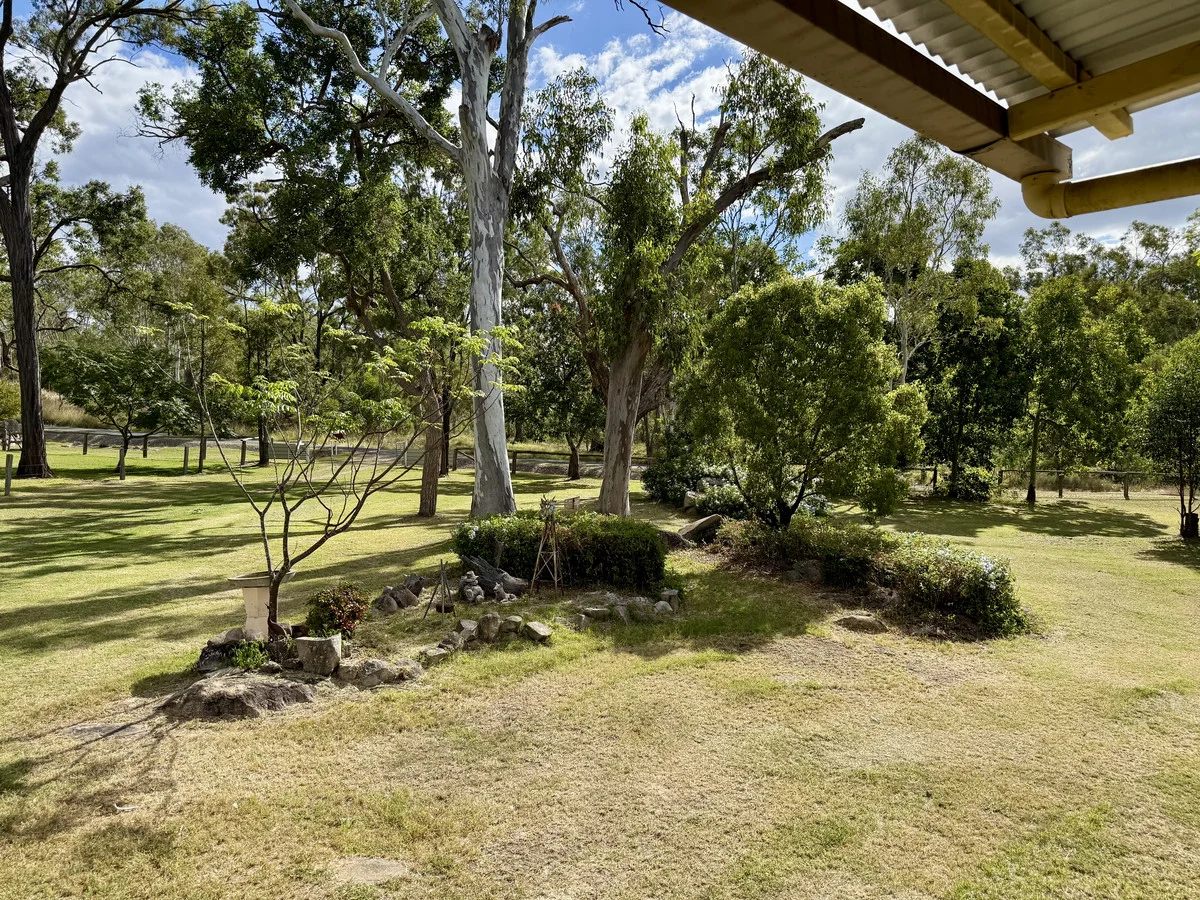 Image 19
