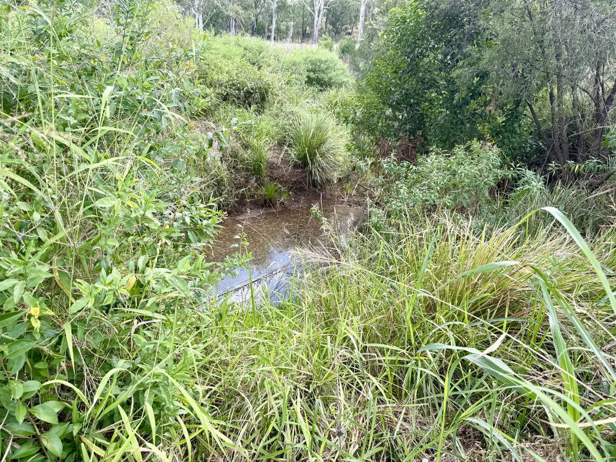 Image 23