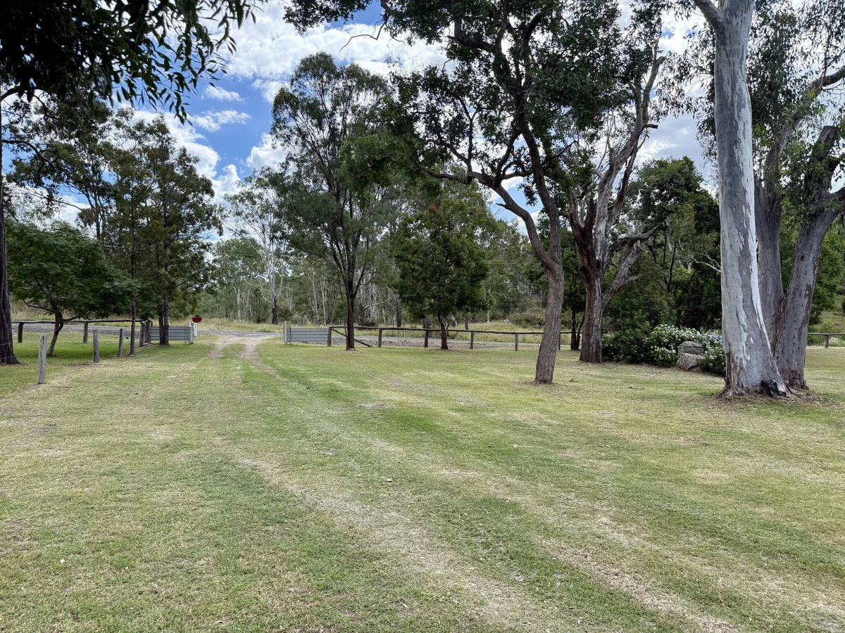 Image 31
