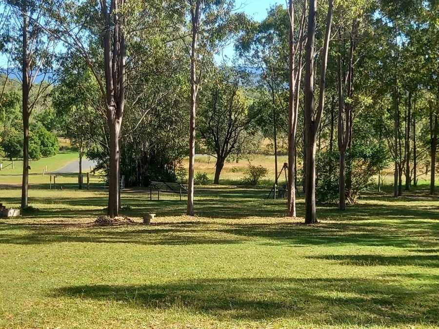 Image 8