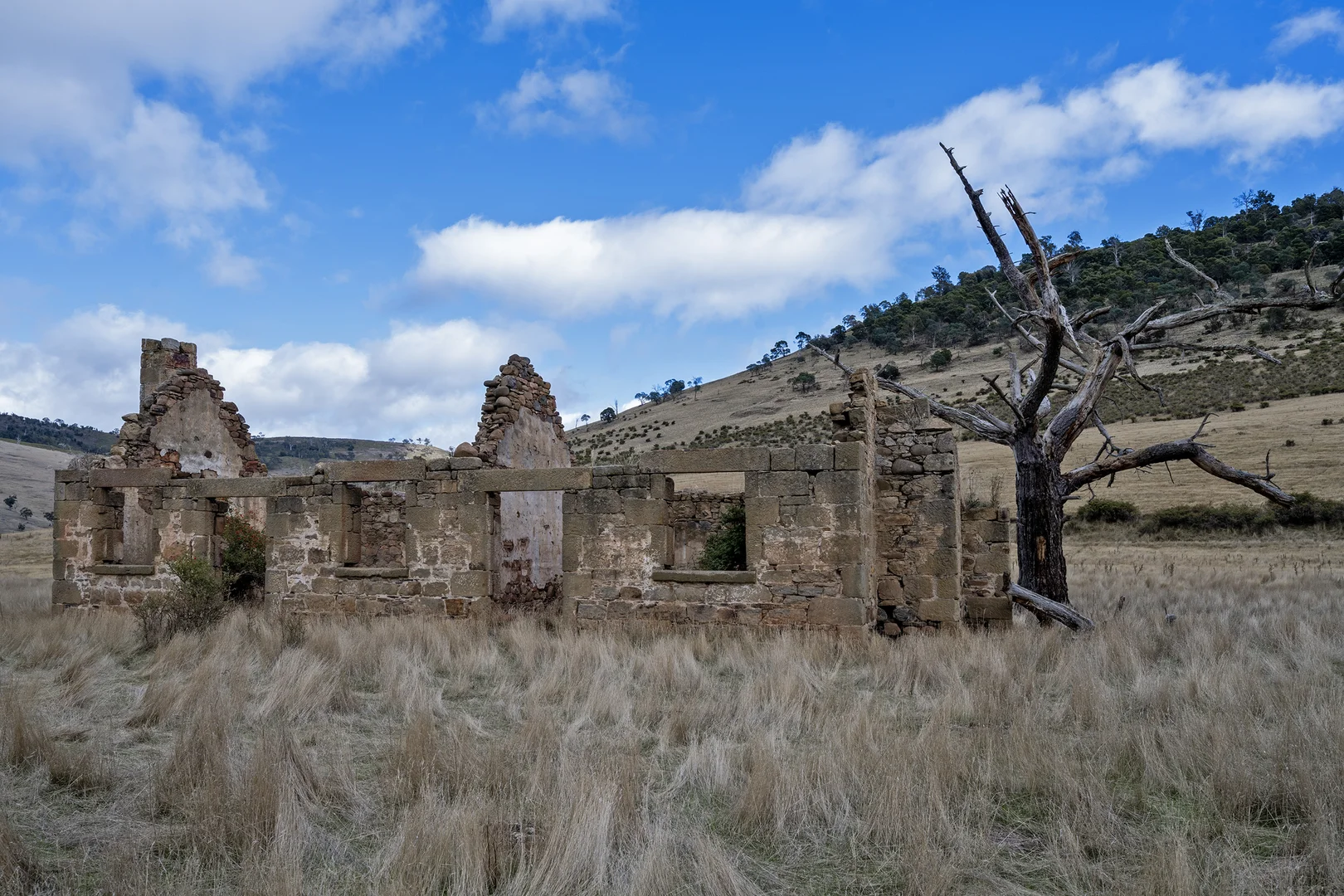Image 11