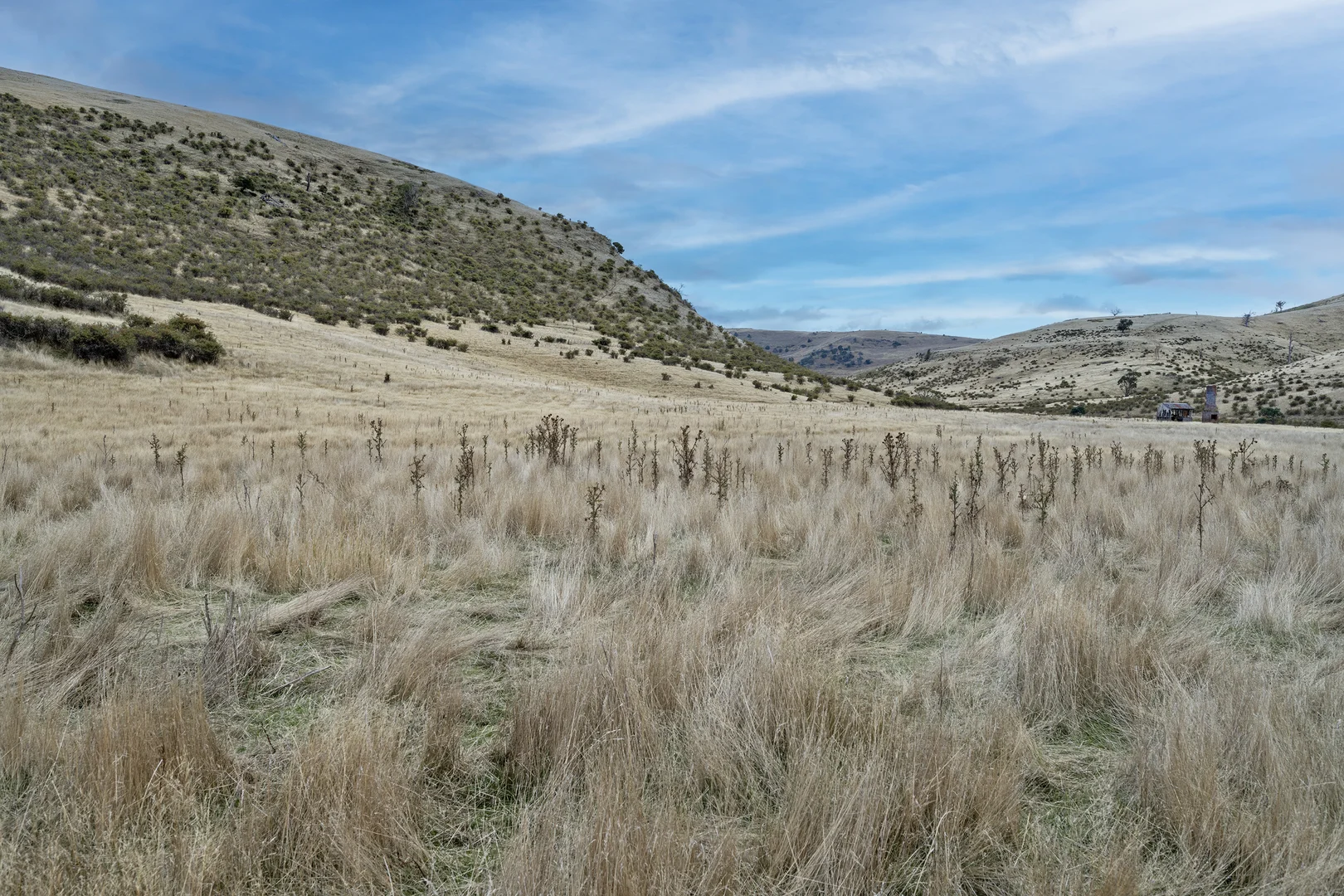 Image 8