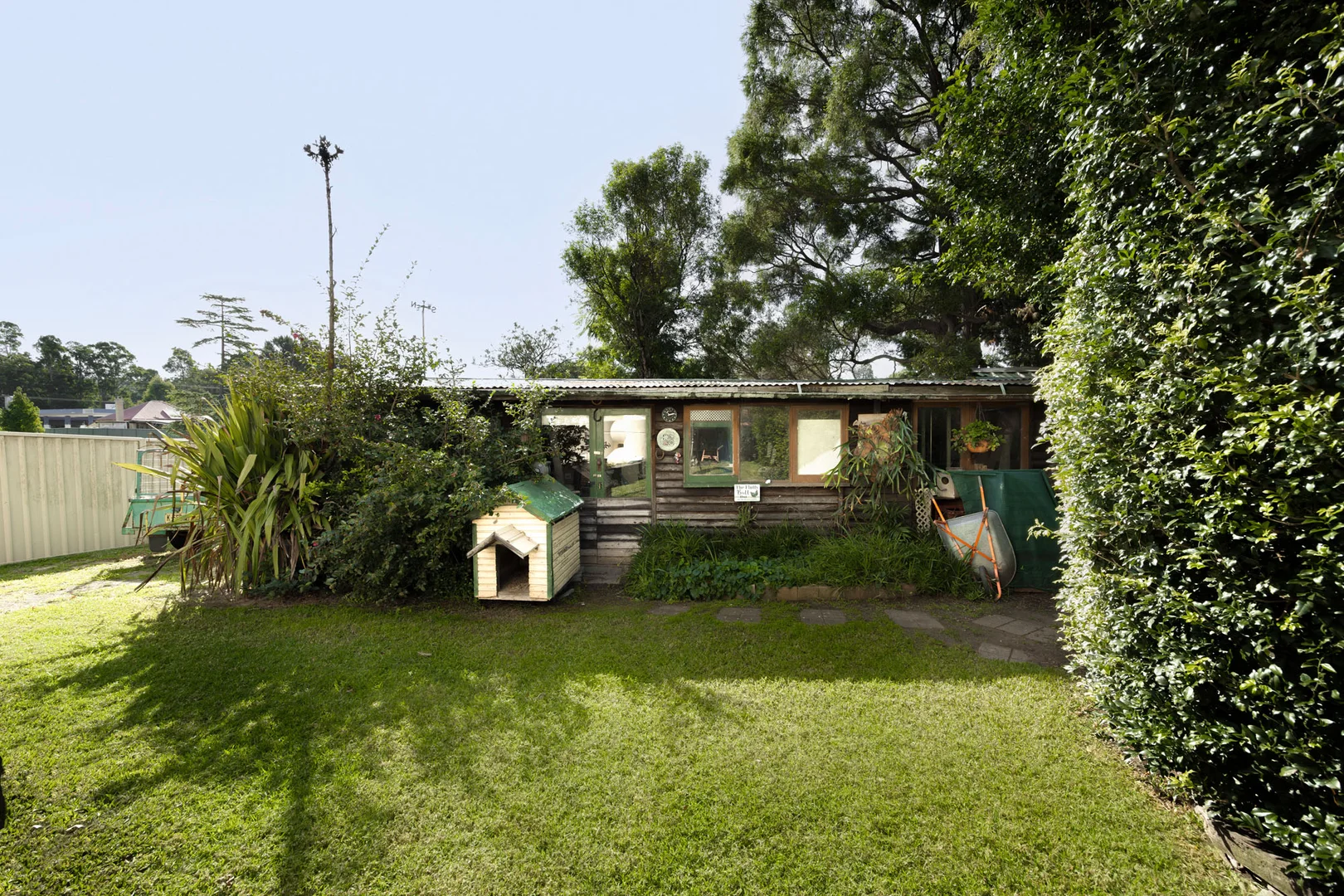 Image 29