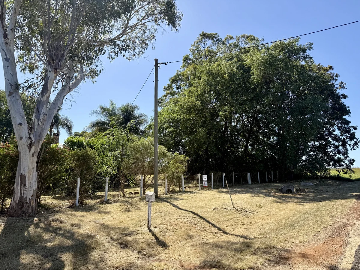 Image 18