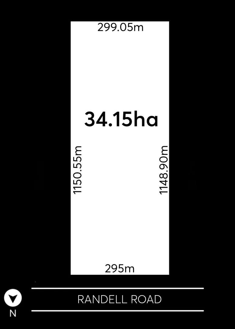 Image 31