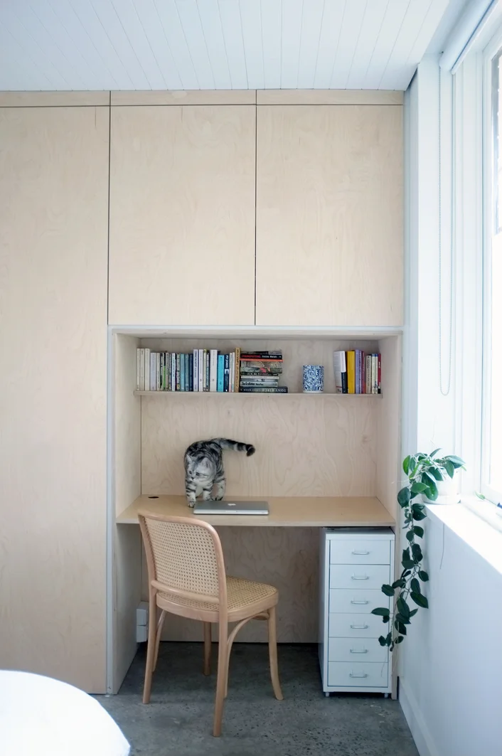 Image 6
