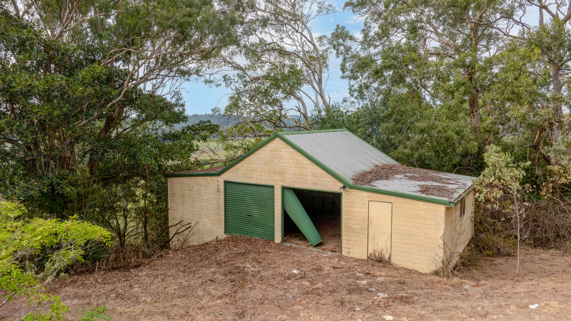Image 16