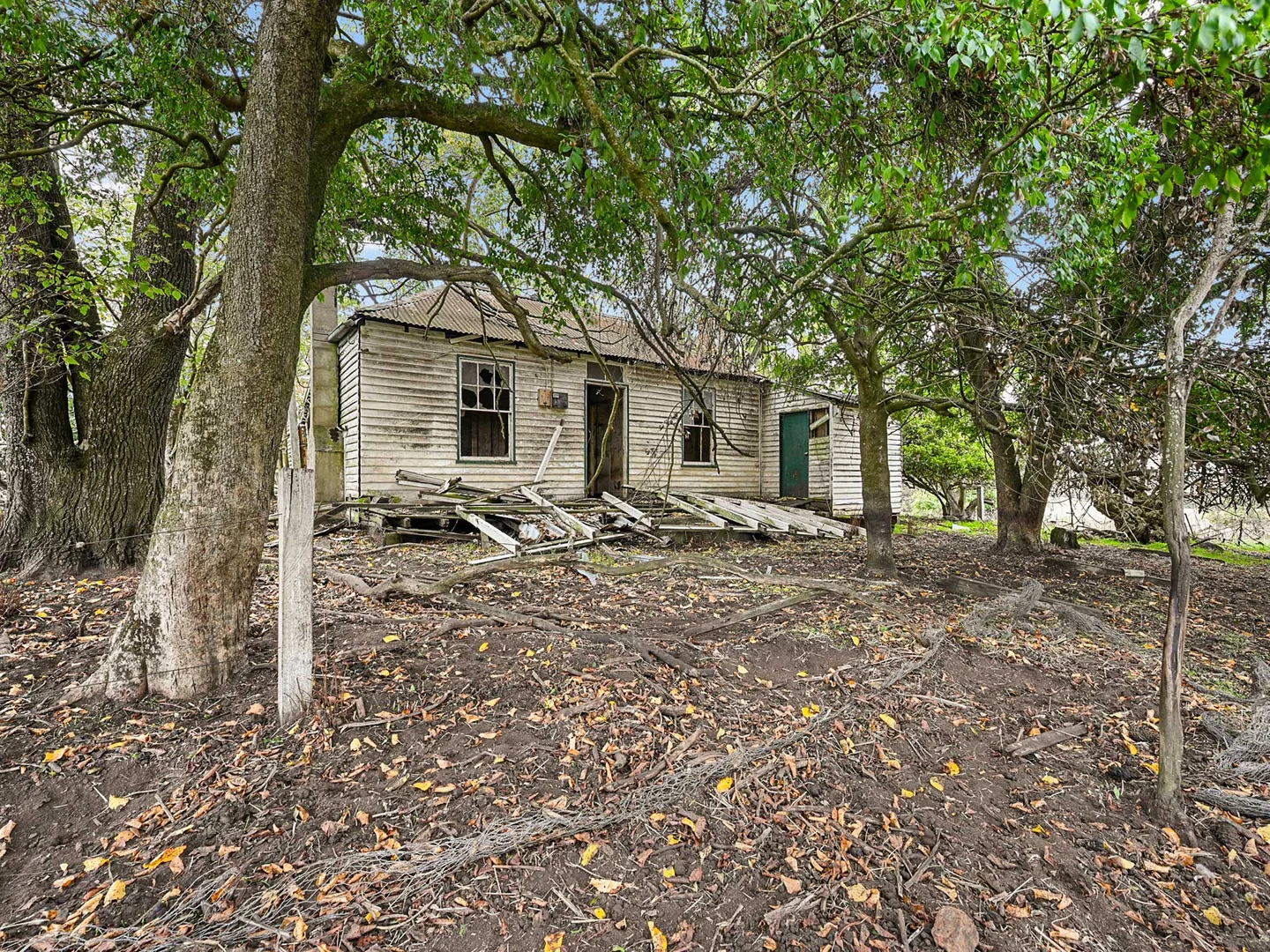 Image 8