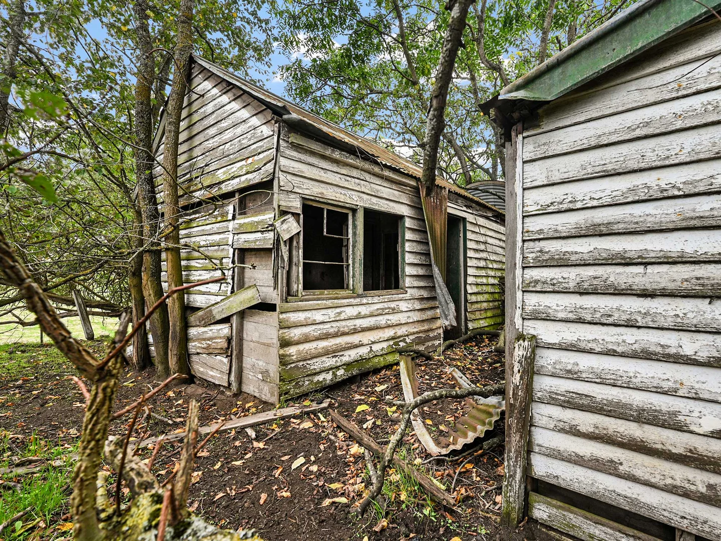 Image 10