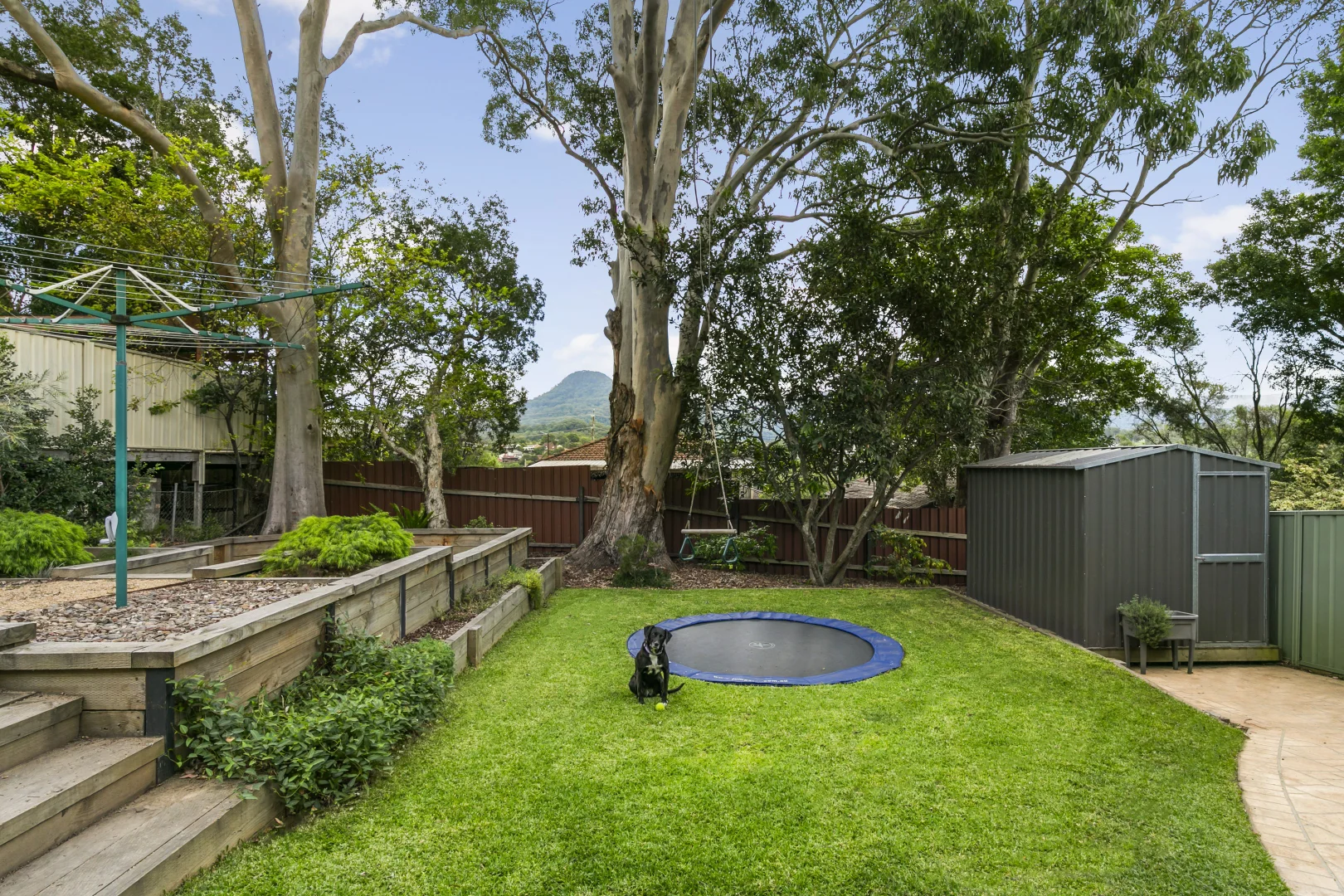 Image 8