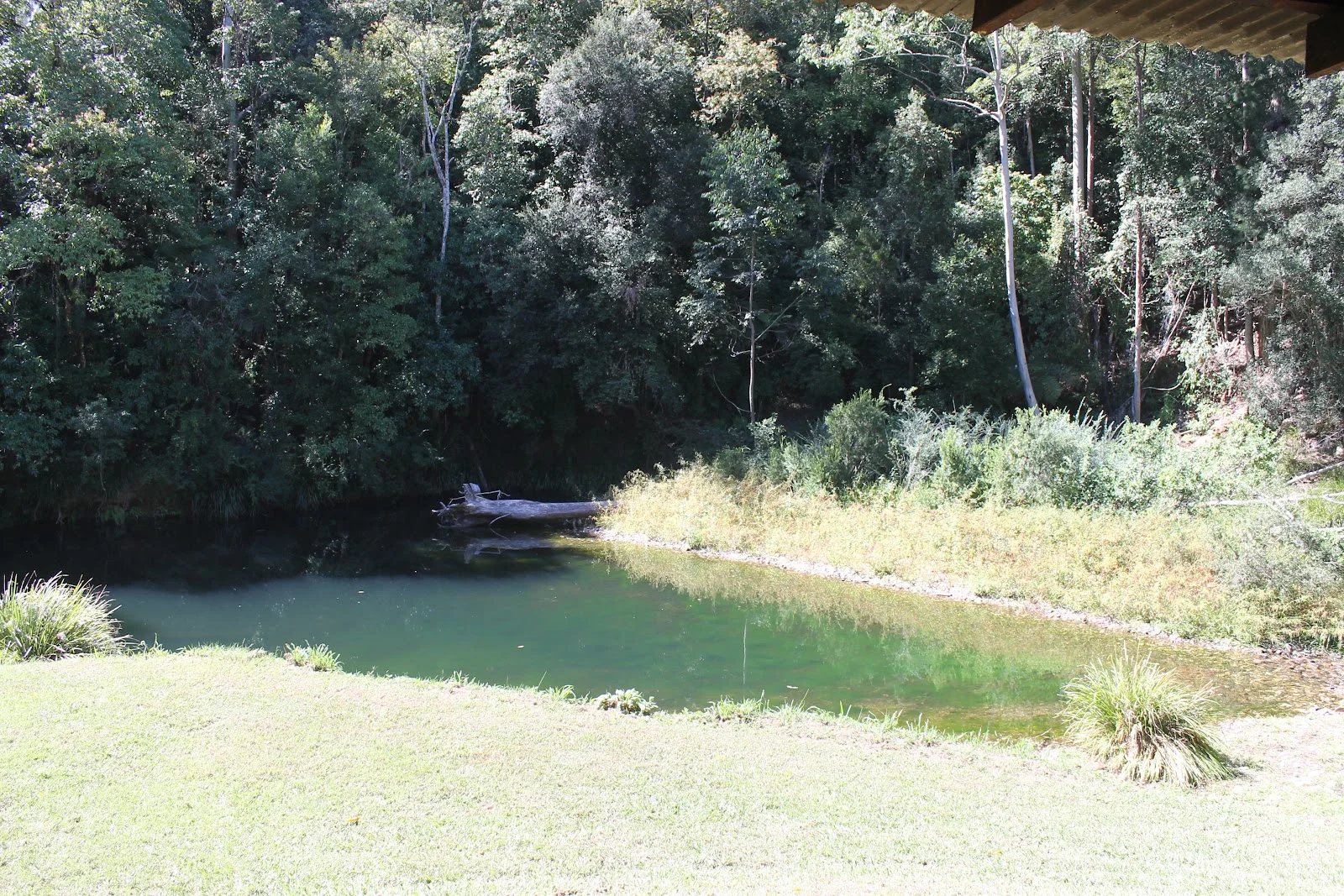 Image 12