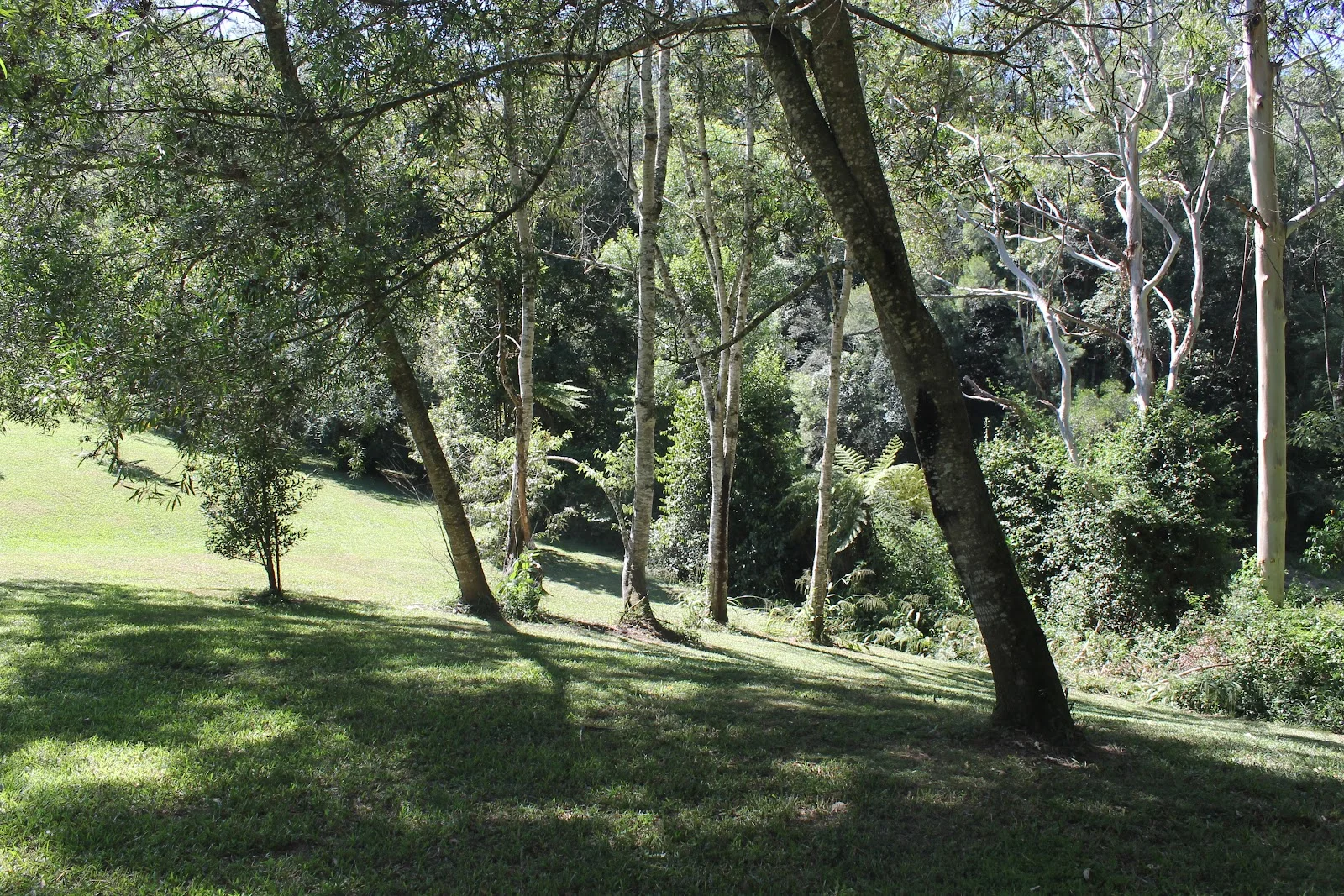 Image 10
