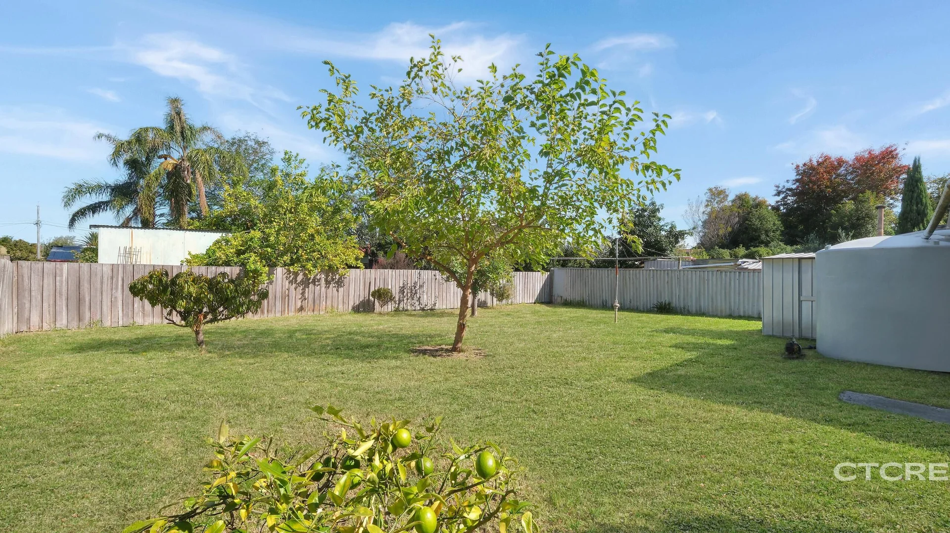 Image 12