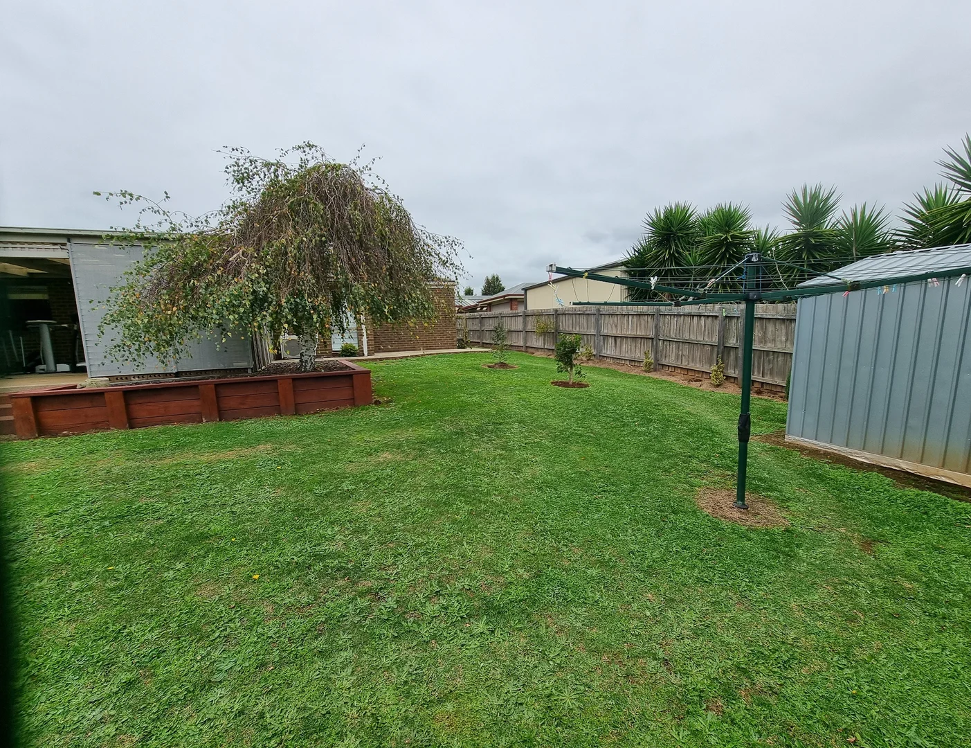 Image 20