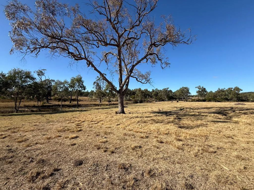 Image 31