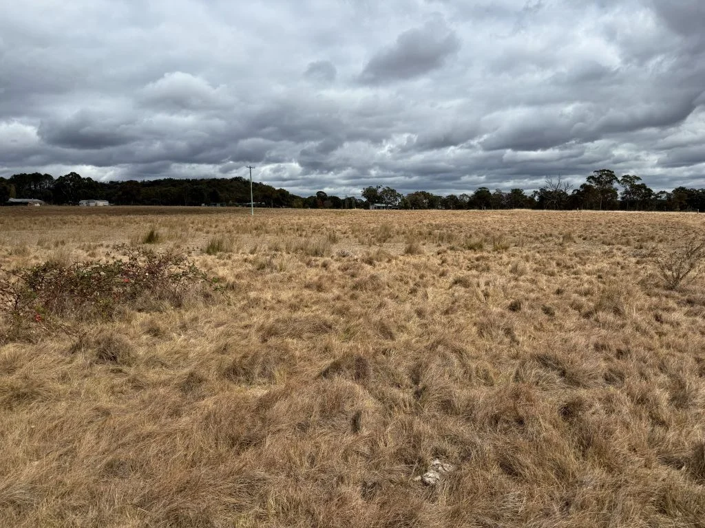 Image 35