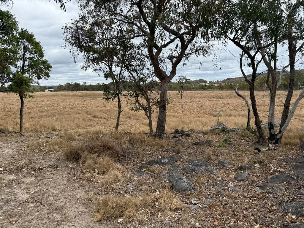 Image 36