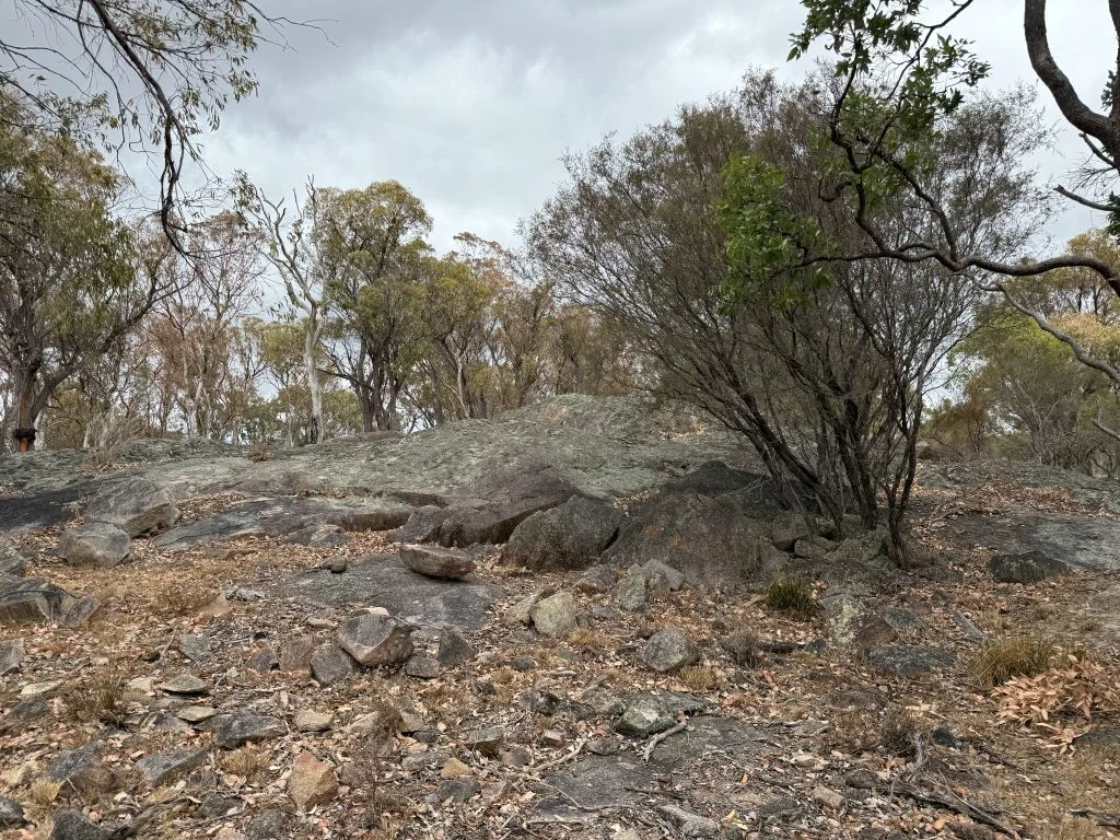 Image 37