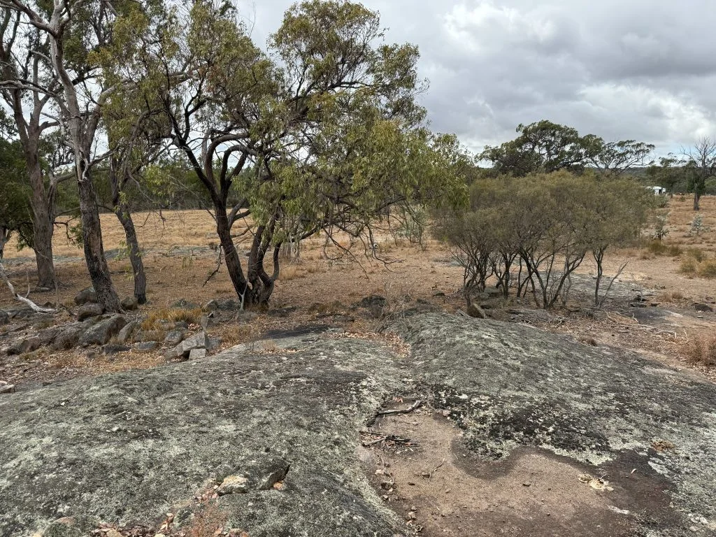 Image 38