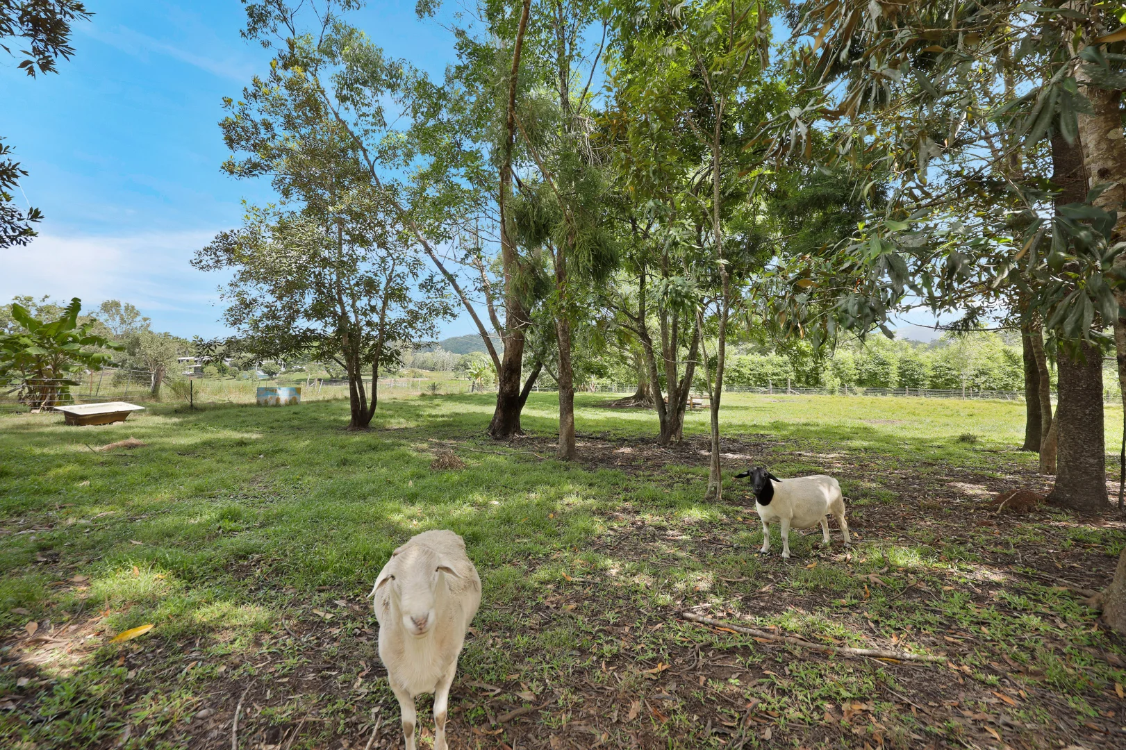 Image 25