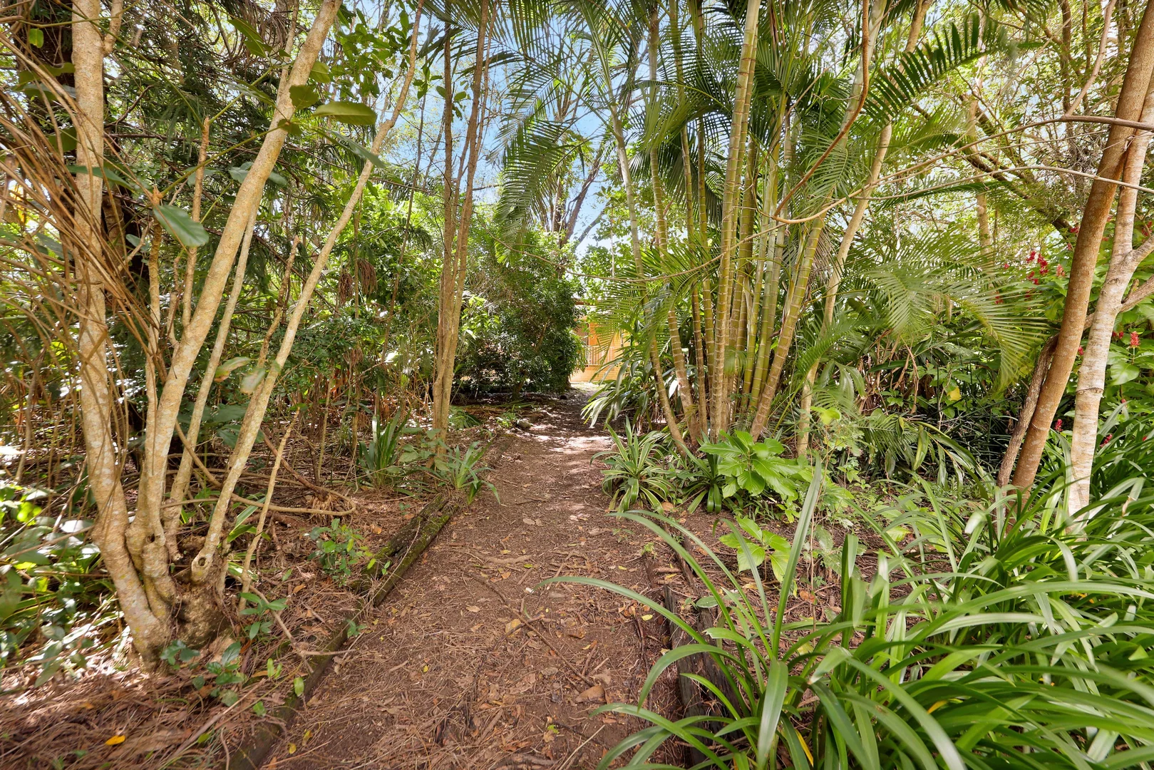 Image 32