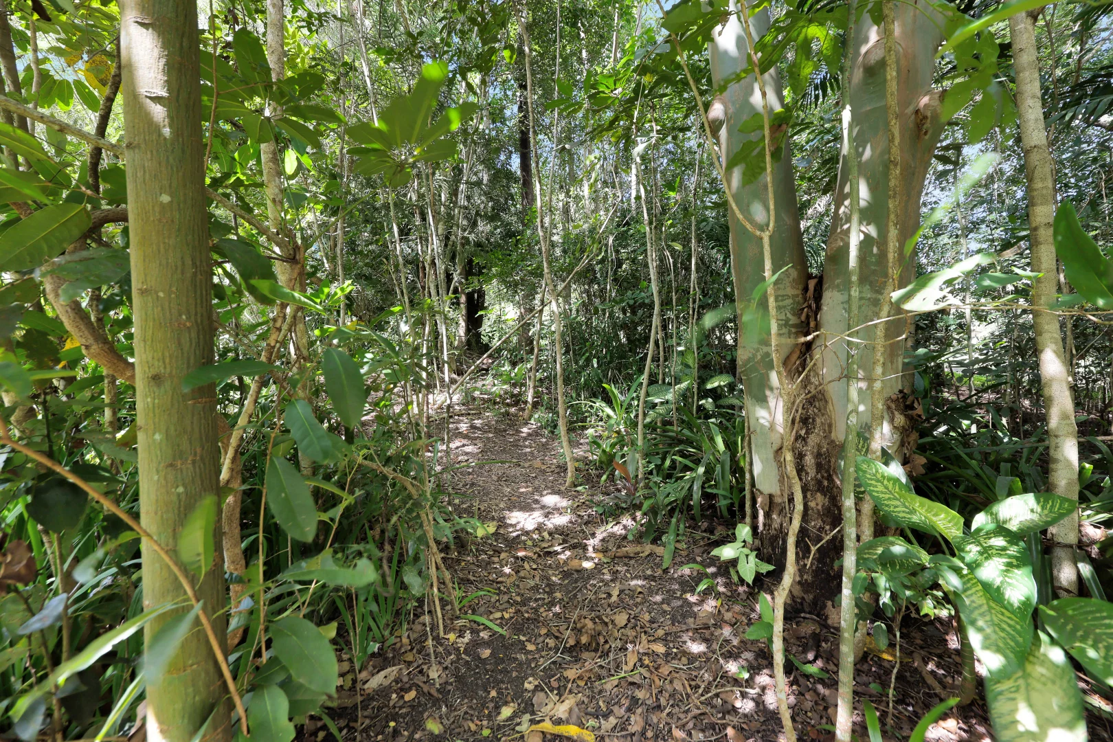 Image 33