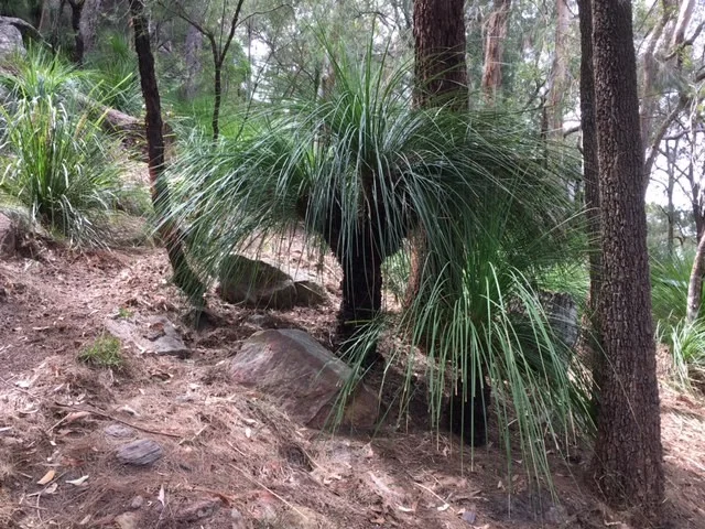 Image 5