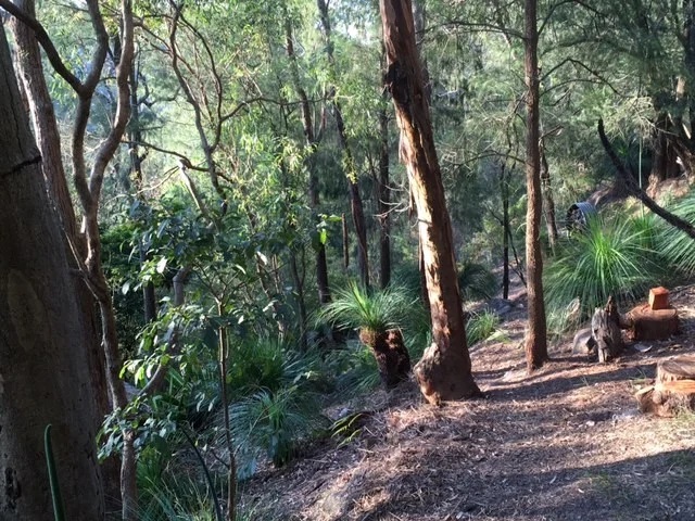 Image 6