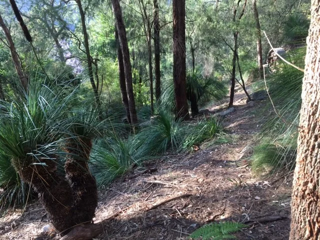 Image 8