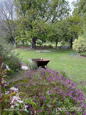 Image 32