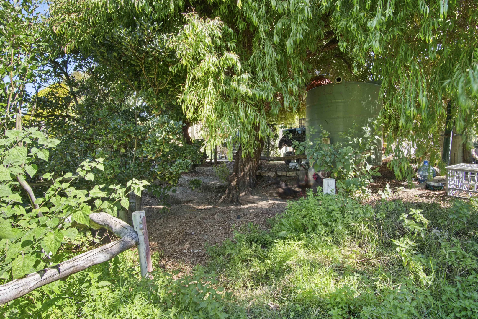 Image 31