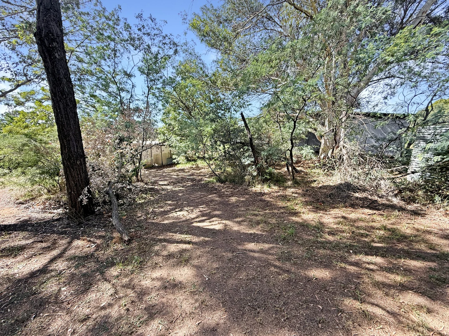 Image 19
