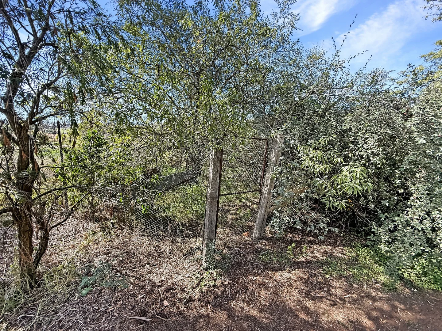 Image 20