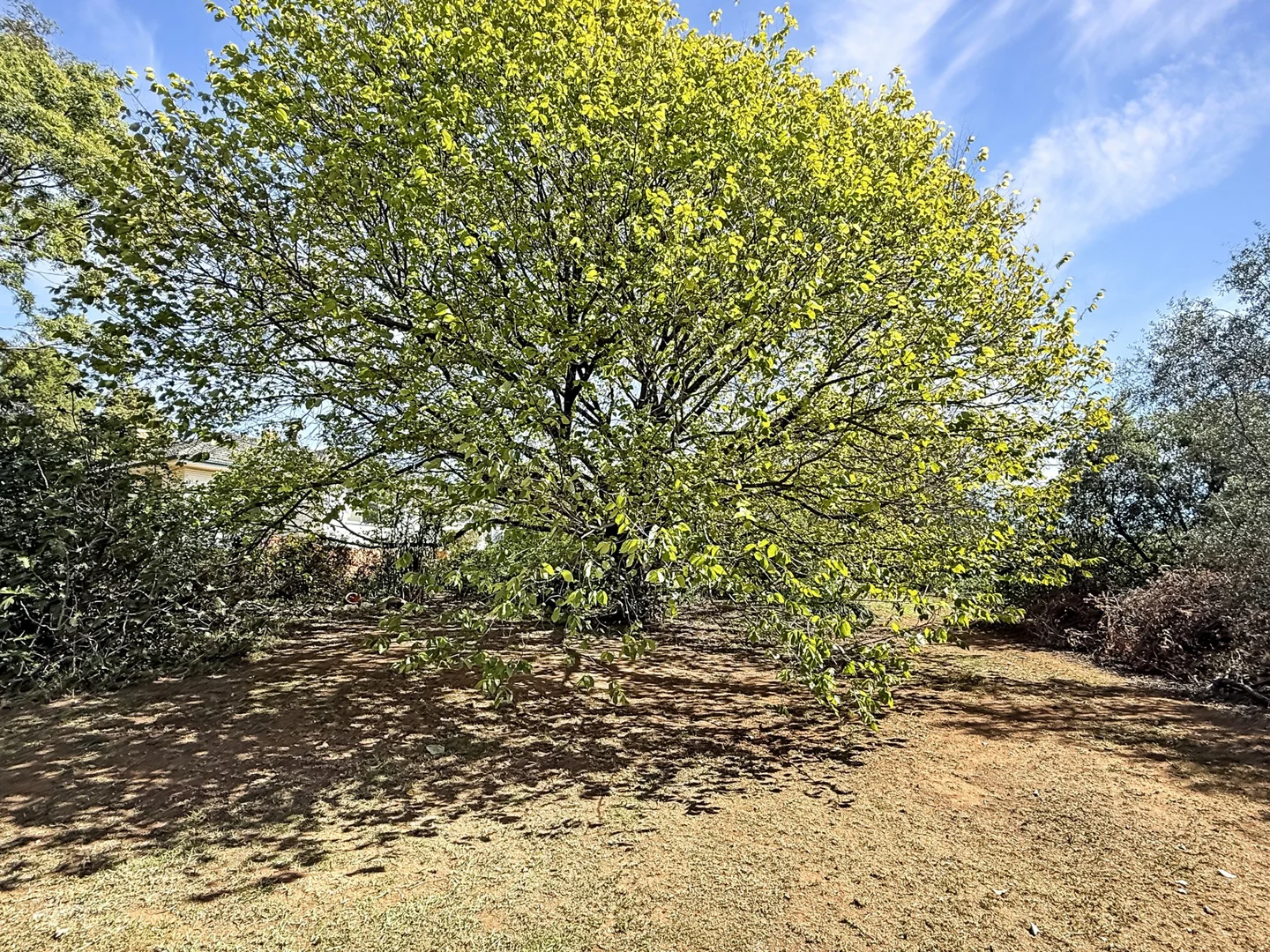 Image 23