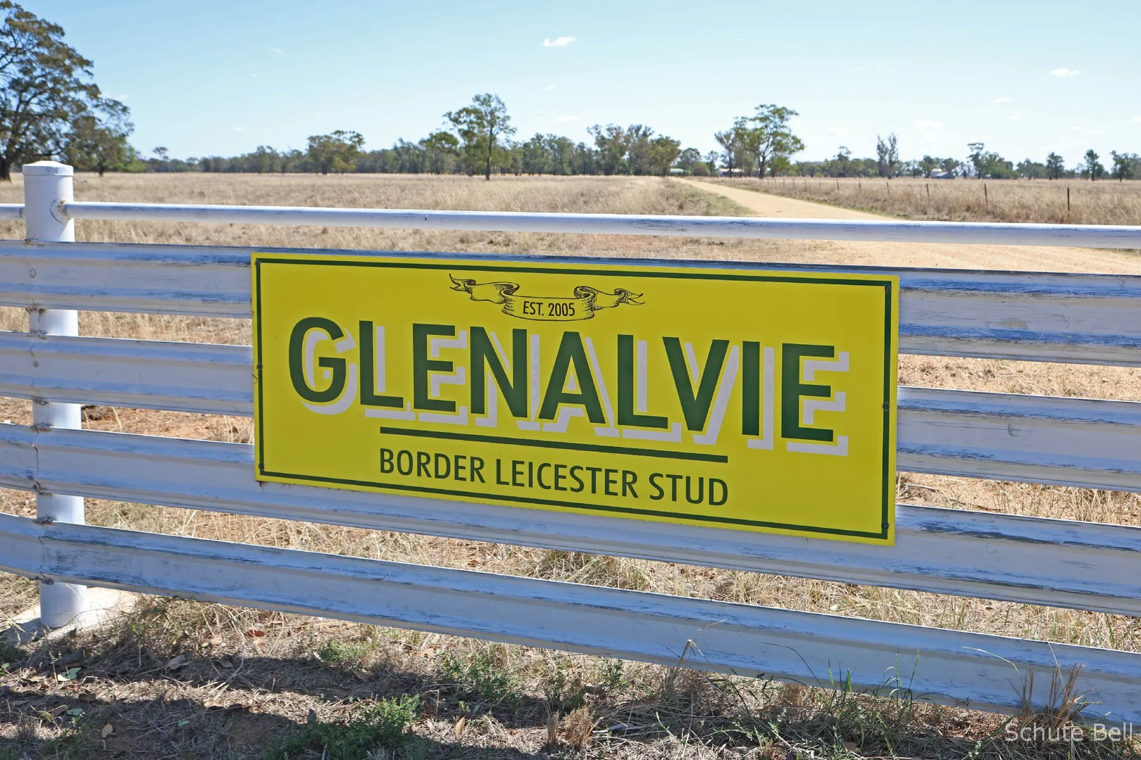 Image 33