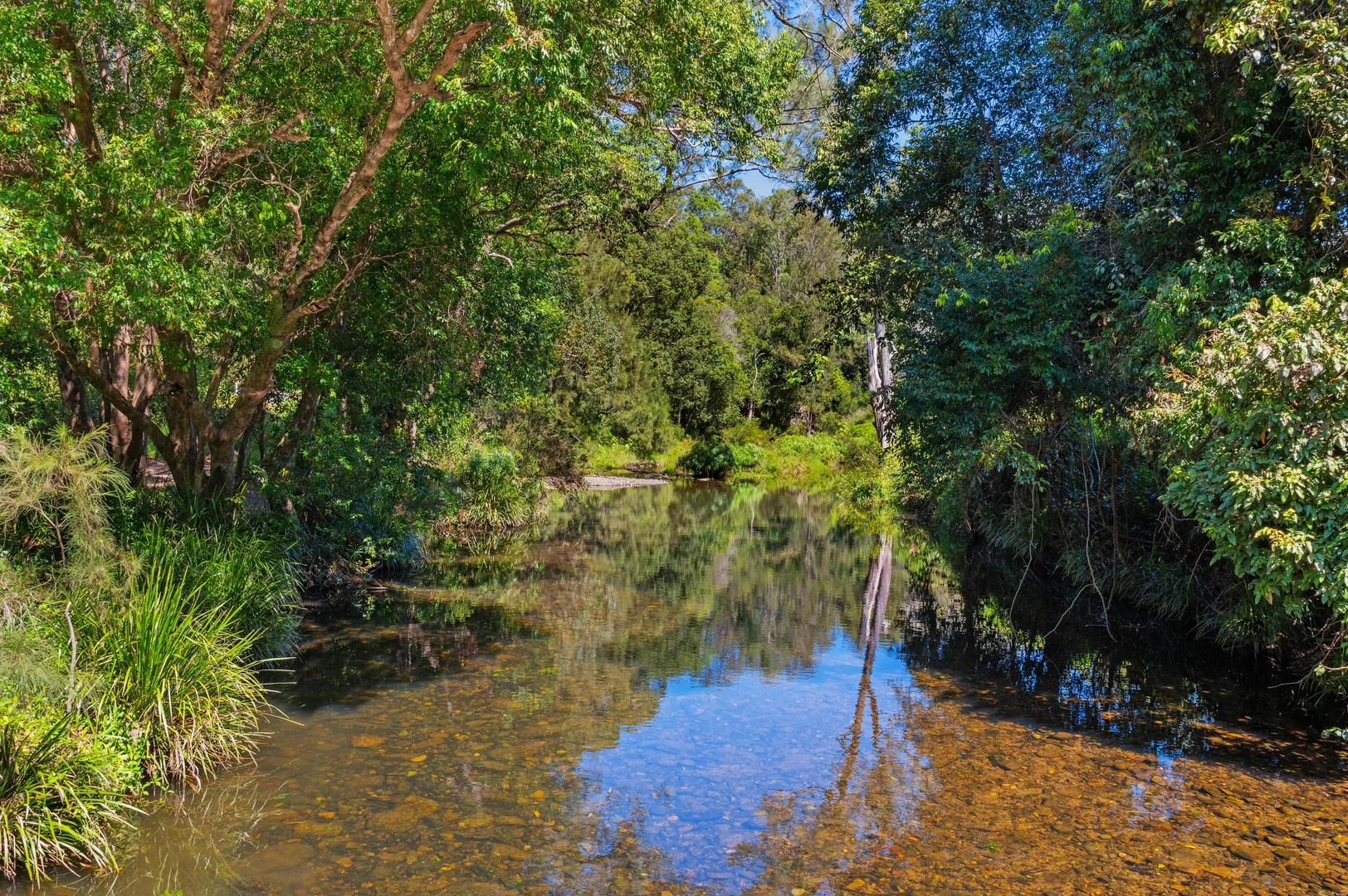 Image 33