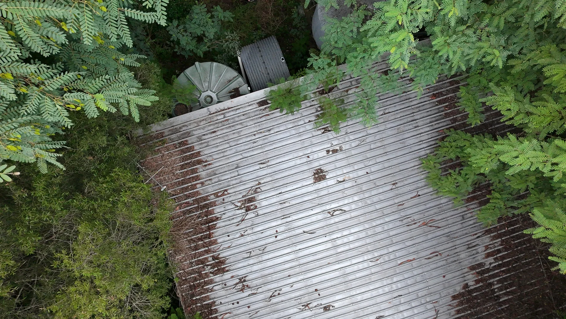 Image 11